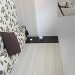 Holiday- Finestrella